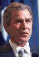 user1.gif (10136 bytes)